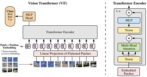 Vision Transformer in PyTorch