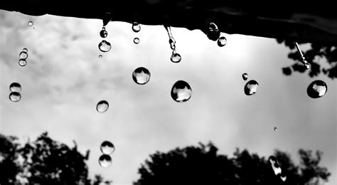 30 Rain Photography Tips – How to Take Photography in the Rain?