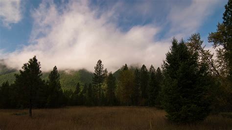 Time lapse clouds billow over a forest. 12069559 Stock Video at Vecteezy