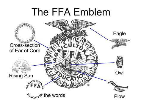 Ffa Symbol Meanings | Ffa emblem, Ffa, Ag teacher