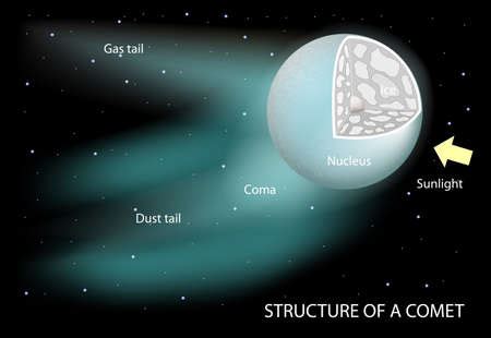 Vector of structure of a comet. Diagram - ID:63923778 - Royalty Free Image - Stocklib