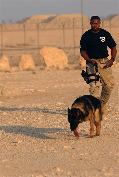 K9s in training > U.S. Air Forces Central > Article Display