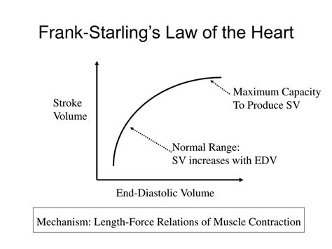 PPT - Left Ventricular Function Frank-Starling Principle Left ...