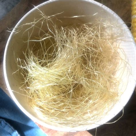 Corn Silk Uses & Remedies — LifeRoot Botanicals