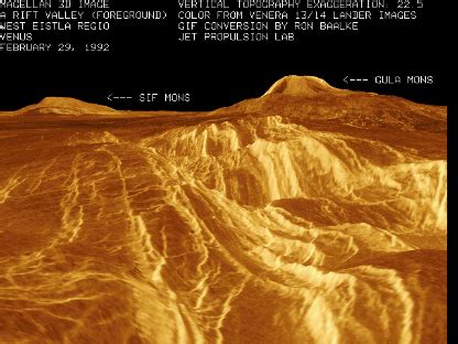 The Surface Features of Venus