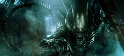 Alien Xenomorph Wallpapers - Top Free Alien Xenomorph Backgrounds ...