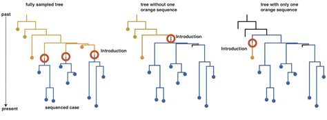 How to interpret the phylogenetic trees — Nextstrain documentation