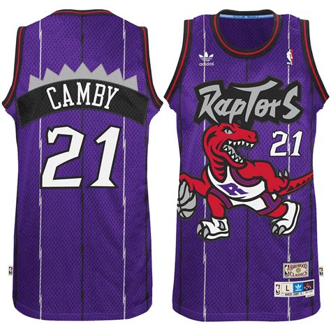 adidas Marcus Camby Toronto Raptors Purple Hardwood Classic Swingman Jersey