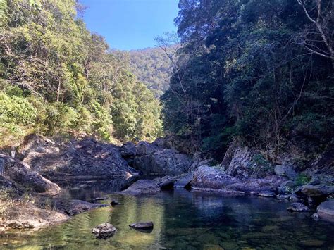 Conondale National Park walks: Booloumba Creek Falls and Mount Allan