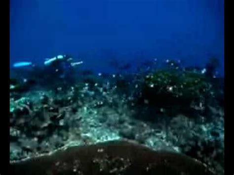 Phoenix Islands Coral Reefs - YouTube