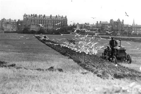 Southsea Common - historic pictures | Nostalgia | The News