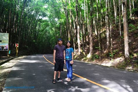 Man-made Forest - Bilar, Bohol | WW Travel Blog