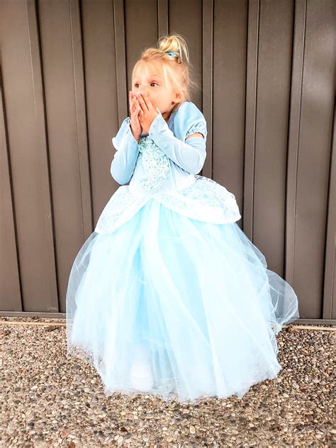 Diy Adult Cinderella Costume