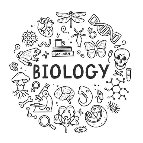 Premium Vector | Biology doodle set Collection of black and white hand drawn elements science ...