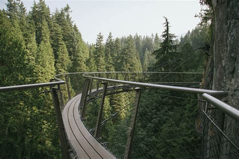 Niki Pike Photography - Exploring Capilano Suspension Bridge Park