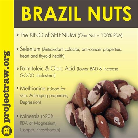 Brazil Nuts | Raw food recipes, Food, Healthy recipes