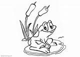 Pond Coloring Pages Frog Sit On The Water Lily  Free Printable sketch template