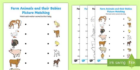 Farm Animals and Their Babies Matching Worksheet | Ages 5–7