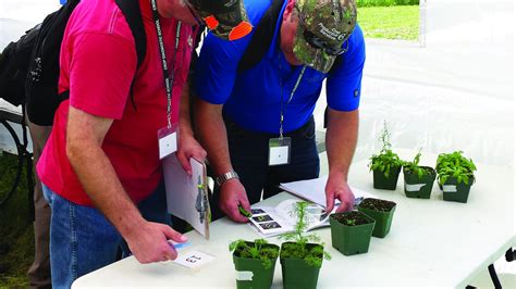 AGRONOMY RESEARCH CAPACITY INITIATIVE | Western Grains Research Foundation