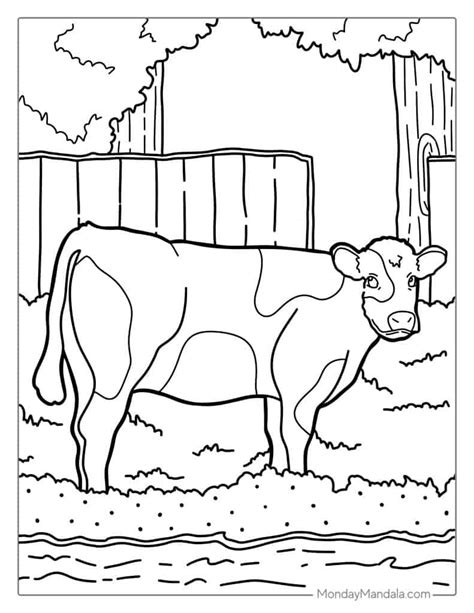 Milking Cow Coloring