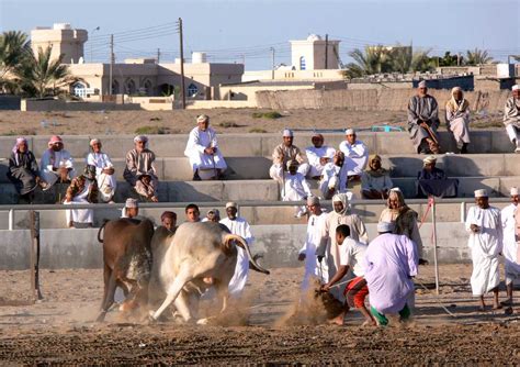 Barka Oman Tourism (2024) > Top Places, Travel Guide | Holidify