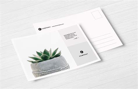 Free Postcard Mockup Set | Mockup World HQ