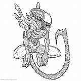 Alien Vs Predator Coloring Pages Printable sketch template