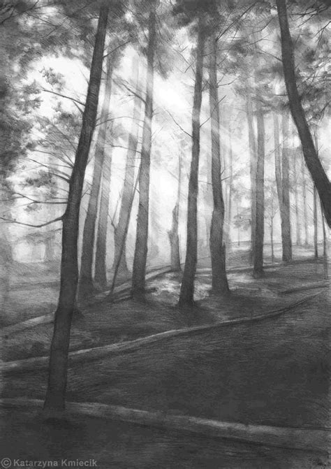 Forrest in 2020 | Pine tree drawing, Landscape pencil drawings, Tree drawings pencil