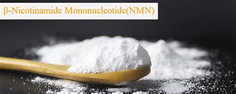 Pure NMN Powder: Top 6 Benefits for Healthy - Knowledge - Xi'an Natural Field Bio-Technique Co.,Ltd.