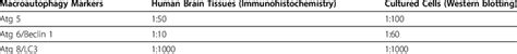 Macroautophagy Markers Tested and Their Dilutions | Download Table