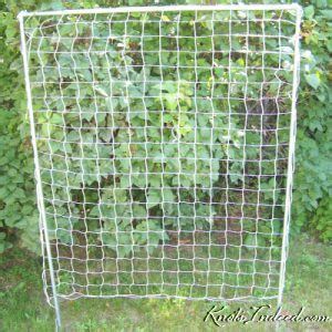 Square-mesh Trellis – 3 inch mesh – 4 feet by 5 feet :: Knots Indeed: Beautiful and Practical ...