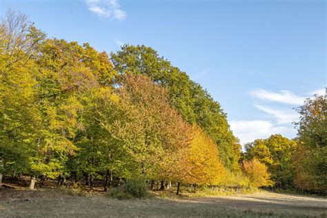 Hungary Pilis Mountains Autumn - Free photo on Pixabay - Pixabay