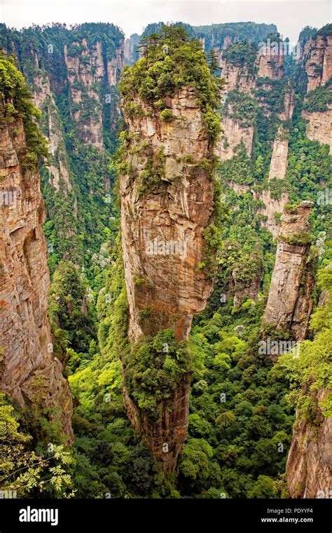 Avatar forest china hi-res stock photography and images - Alamy