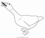 Goose 5 Coloring Page For Kids  Free Swans And Geese Printable sketch template