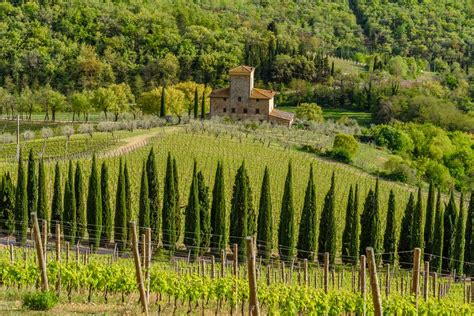 Rome to Radda-in-Chianti - Best Routes & Travel Advice | kimkim