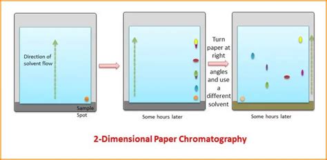 What is Paper Chromatography? Principle and Procedure