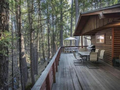 12 Best Pet Friendly Cabins in Yosemite for all Budgets