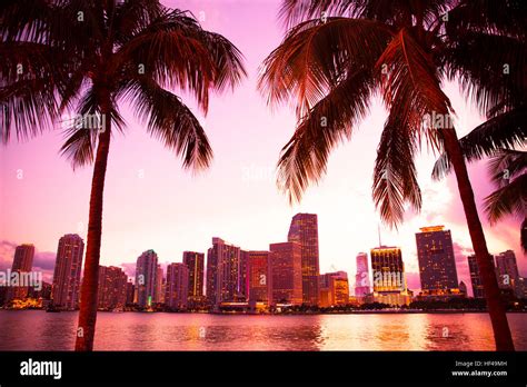 Sunset of Miami Florida skyline with palm trees Stock Photo - Alamy