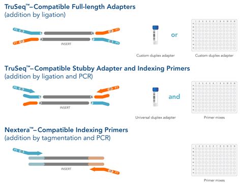 Customize your NGS adapters | IDT