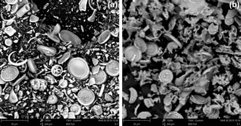 The SEM images, showing the structure of a diatomite and b calcined... | Download Scientific Diagram