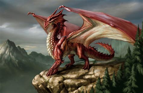 Classic European Dragon | Fantastic Bestiary Wiki | FANDOM powered by Wikia