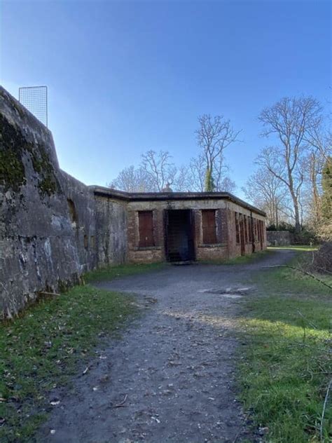 Box Hill Fort. Photograph © Joanna van der Lande - Dorking Museum ...