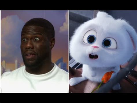 Kevin Hart releases his angry bunny - The Secret Life of Pets FUNNY INTERVIEW - YouTube