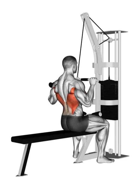 Narrow Grip Lat Pulldown