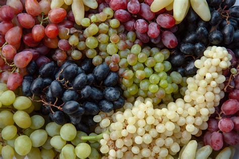 Types of Grapes: 15 Common Varieties | Fine Dining Lovers