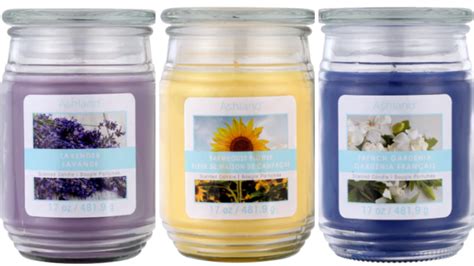 Michael's: 17 oz Jar Candles Only $2.66