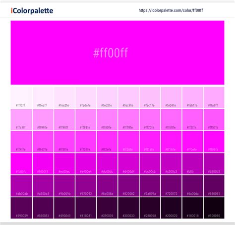 White information | Hsl | Rgb | Pantone