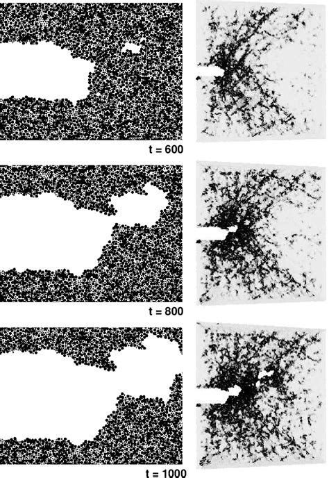 Figure 4 from Molecular-dynamics study of ductile and brittle fracture ...