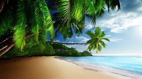 🔥 Free Download Tropical Beach Paradise 4k Ultra Hd Desktop Wallpaper by @brittanysweeney ...