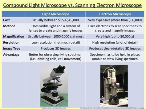 Scanning Vs Electron Microscope